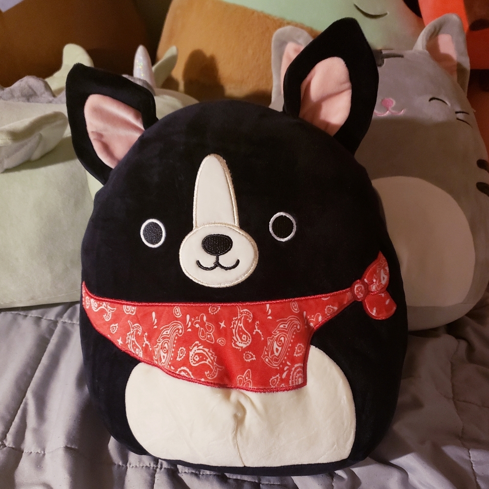12 Inch Squishmallow